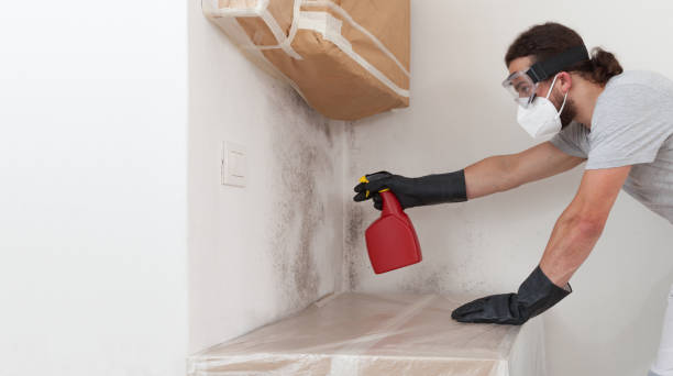 Professional Crawl Space Mold Remediation technician working in Mayer, MN